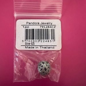 Pandora charm